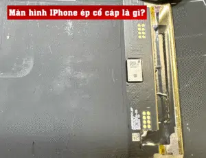 Ảnh đại diện bài màn hình iPhone ép lại cổ cáp: mặt sau màn hình và cáp (ảnh thật tại VNT39)