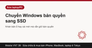 Ổ SSD mới lắp vào laptop thay ổ cũ