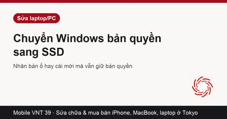 Ổ SSD mới lắp vào laptop thay ổ cũ