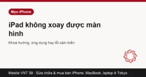 iPad nằm ngang nhưng màn hình vẫn dọc