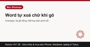 Văn bản Word bị mất chữ khi gõ